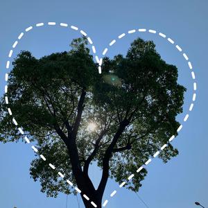 猎奇小屋app免费下载安装
